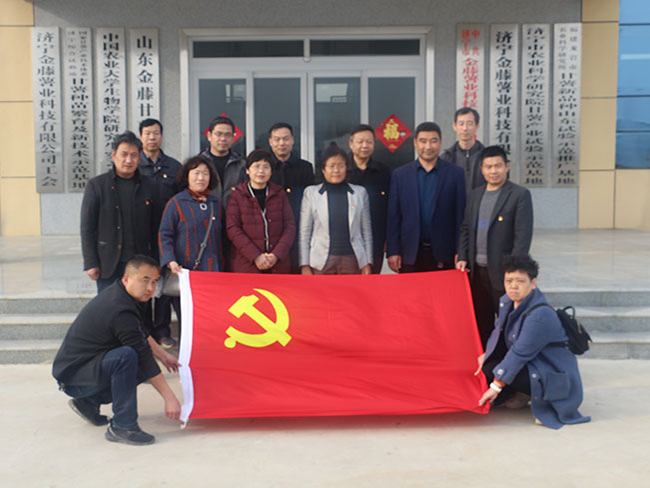 党建信息
